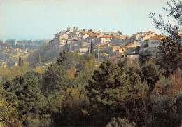 06-BIOT-N°2804-D/0273 - Biot