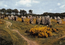 56-CARNAC-N°2816-D/0197 - Carnac