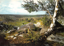 77-FONTAINEBLEAU-LA FORET-N°2822-D/0093 - Fontainebleau