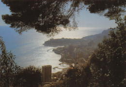 06-MONACO-N°2826-D/0235 - Autres & Non Classés