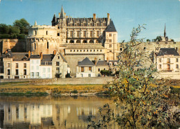 37-AMBOISE-N°2829-D/0269 - Amboise