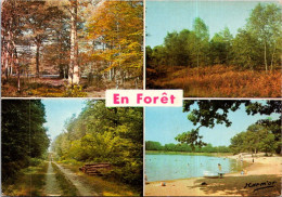 4-6-2024 (16) France  - Arbre En Forêt / Tree In Forest - Bomen