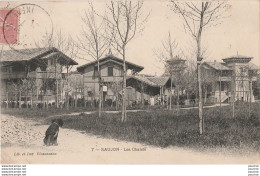 T17-17)  SAUJON - LES CHALETS - ( ANIMEE - HABITANTS ) - Saujon