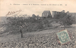 78-CHEVREUSE-Château De La Madeleine-N 6006-G/0255 - Chevreuse