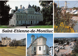 44-SAINT ETIENNE DE MONTLUC-N°4010-B/0389 - Saint Etienne De Montluc