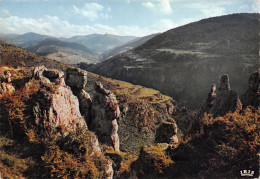 48-GORGES DU TARN-N°4011-B/0301 - Gorges Du Tarn