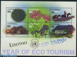 Lesotho 2002 Eco Tourism 6v M/s, Mint NH, Nature - Various - Animals (others & Mixed) - Cat Family - Frogs & Toads - H.. - Lesotho (1966-...)