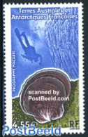 French Antarctic Territory 2009 Macarbi Programme 1v, Mint NH, Nature - Sport - Shells & Crustaceans - Diving - Ongebruikt