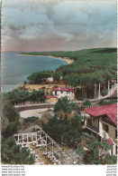 U17-33) BASSIN D' ARCACHON (GIRONDE) LE PYLA - LA ROUTE DE LA CORNICHE ET LA FORET - 1957 -  COULEURS -2 SCANS ) - Arcachon