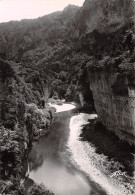 48-GORGES DU TARN LES DETROITS-N°4015-D/0333 - Gorges Du Tarn