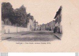 Y13-40) TARTAS (LANDES) VILLE HAUTE - AVENUE CHANZY - ( 2 SCANS )  - Tartas