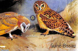 Guinea Bissau 2001 Owls, Rotary S/s, Imperforated, Mint NH, Nature - Various - Birds - Owls - Rotary - Rotary, Lions Club