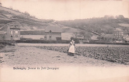 Liege - SCLESSIN -  Avenue Du Petit Bourgogne - Liege