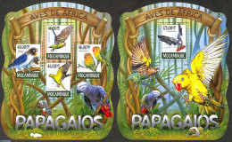 Mozambique 2015 Parrots 2 S/s, Mint NH, Nature - Birds - Parrots - Mozambique