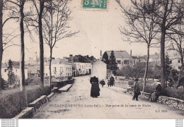 Z21-44) GUEMENE PENFAO (LOIRE INFERIEURE) VUE PRISE DE LA ROUTE DE BLAIN  - ( ANIMME - HABITANTS - 2 SCANS ) - Guémené-Penfao