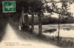 Guipel Etang Du Chesnais - Sonstige & Ohne Zuordnung