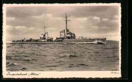 AK Torpedoboot Iltis Vor Küste  - Guerre