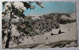 FRANCE - ALPES MARITIMES - LUCERAM - PEIRA CAVA - Paysage D'Hiver - 1962 - Lucéram