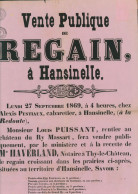 Affiche - Vente Publique à Hansinelle (1869, Format A4) + N°23 En Bloc De 3 + 2 Grands Voisins Au Verso. Complet, Fragil - 1866-1867 Petit Lion (Kleiner Löwe)
