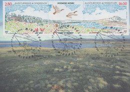 Carte  Maximum  1er  Jour   SAINT  PIERRE  Et   MIQUELON   Patrimoine  Naturel    Etang  De  MIRANDE  1994 - Maximumkarten