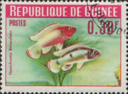 Guinée (Rep) Poste Obl Yv: 177/186 Poissons (Beau Cachet Rond) - Guinée (1958-...)