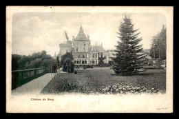 LUXEMBOURG - CHATEAU DE BERG - Other & Unclassified