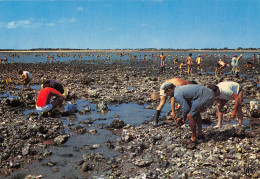 17 L ILE DE RE LA PECHE AUX HUITRES - Ile De Ré