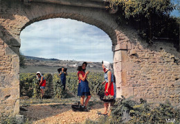 21 MEURSAULT SCENE DES VENDANGES - Meursault