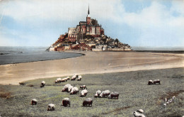 50 LE MONT SAINT MICHEL LES MOUTONS - Le Mont Saint Michel