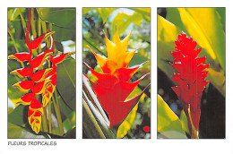 972 MARTINIQUE FLEURS TROPICALES - Other & Unclassified