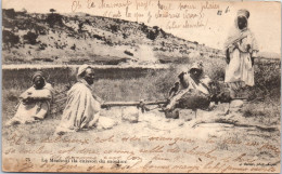 ALGERIE - Scene Et Type, Le Mechoui, Cuisson Du Mouton  - Scenes