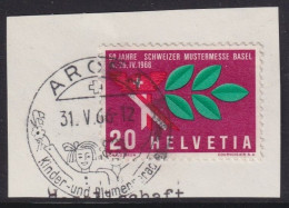 Werbedatumstempel K102z  "Arosa Kinder- Und Blumenparadies"        1966 - Storia Postale