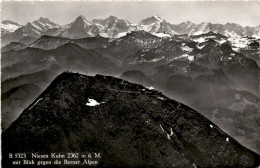 Niesen Kulm Mit Blick Gegen Die Berner Alpen (5323) - Wimmis
