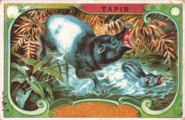Chromo Le Tapir - Sonstige & Ohne Zuordnung