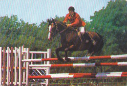 SPORTS, HORSE SHOW, OBSTACLE COURSE - Ippica