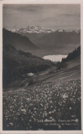 71796 - Schweiz - Les Avants - Dents Du Midi - Ca. 1950 - Sonstige & Ohne Zuordnung