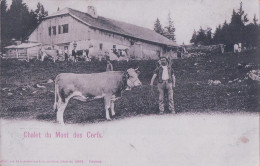 Ste-Croix VD, Chalet Du Mont Des Cerfs Et Troupeau De Bétail (4869) - Sainte-Croix 