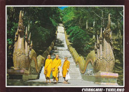 AK 215356 THAILAND - Chiangmai - Thailand