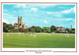CRICKET GROUND AND CATHEDRAL, WORCESTER, WORCESTERSHIRE, ENGLAND. UNUSED POSTCARD  Nd6 - Andere & Zonder Classificatie