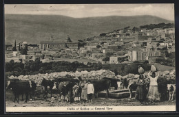 AK Cana Of Galilee, General View  - Palästina