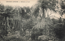 MIKICP7-043- COMORES DEFRICHE EN FORET - Comoren