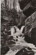 70999 - Zwingenberg - Partie In Der Wolfsschlucht - Ca. 1960 - Mosbach