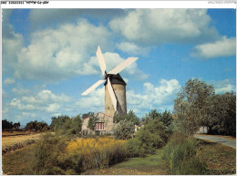 AKPP3-0244-MOULIN - MOULIN DANS LE MARAIS - MOULIN DE RAIRE - SALLERTAINE  - Windmills