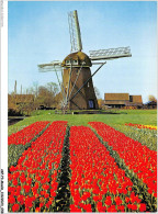 AKPP3-0227-MOULIN - LA HOLLANDE EN PARURE DES FLEURS  - Windmills