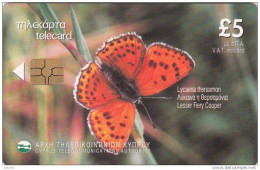 CYPRUS - Butterfly, Lesser Fiery Cooper, 09/01, Used - Vlinders