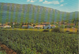 83 - Nans-les-Pins  -  Vue Générale Et La Chaîne De La Ste Baume - Nans-les-Pins