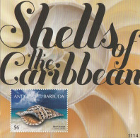 ANTIGUA & BARBUDA Block 683,unused - Conchiglie