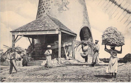 Feeding Sugar Cane Mill - Barbados - Barbades