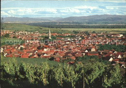 71596764 Ihringen Panorama Ihringen - Ihringen