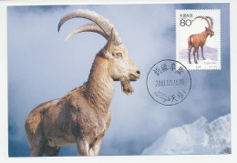 Maximum Card China 2001 Alpine Ibex  - Altri & Non Classificati